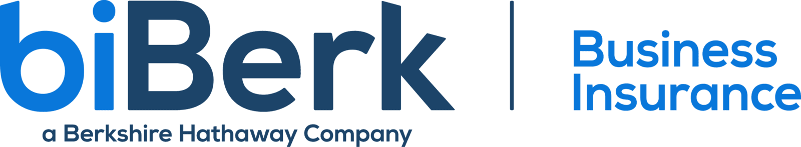 biBERK Insurance